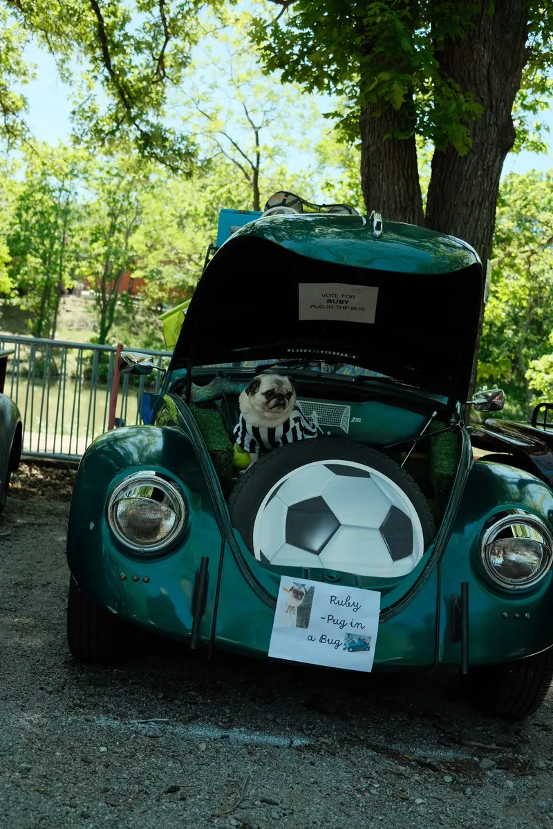 Glovebox Gallery Photograph